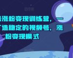 视频号涨粉变现训练营，一站式打造稳定的视频号，涨粉变现模式