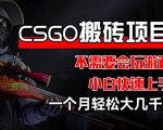 CSGO 装备搬砖项目，操作简单，不需要会玩游戏，小白也能快速上手，一个月轻松大几千【揭秘】