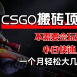 CSGO 装备搬砖项目，操作简单，不需要会玩游戏，小白也能快速上手，一个月轻松大几千【揭秘】