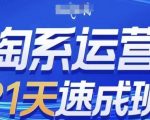 淘系运营21天速成班(更新24年7月)，0基础轻松搞定淘系运营，不做假把式