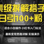 像素级拆解搭子粉，日引100+，小白看完可上手，最新变现思路详解【揭秘】