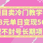 独家项目卖冷门教学课程一单88元单日变现5632元违规不封号长期项目【揭秘】