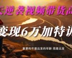 30天逆袭视频带货高手，单月变现6万加特训营-麦子甜