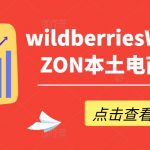 wildberriesWB野莓/OZON本土电商系列课，掌握WB产品优化，出单技巧和订单处理等