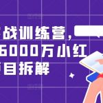 小红书实战训练营，从0到1，6000万小红书项目拆解