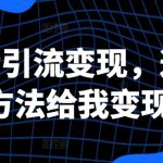 创业粉引流变现，这三种引流方法给我变现3W+【揭秘】