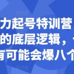 小红书暴力起号特训营，掌握小红书起号的底层逻辑，十个帖真有可能会爆八个