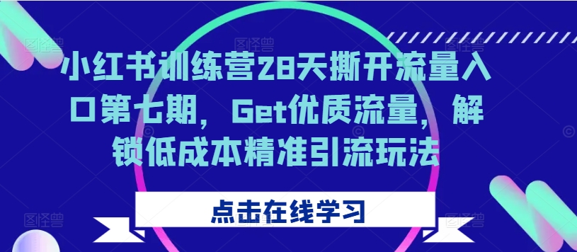 小红书训练营28天撕开流量入口第七期，Get优质流量，解锁低成本精准引流玩法