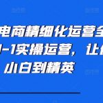 小红书电商精细化运营全流程，从0-1实操运营，让你从小白到精英