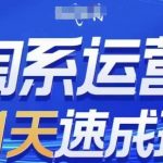 淘系运营21天速成班(更新24年10月)，0基础轻松搞定淘系运营，不做假把式