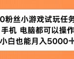 0粉丝小游戏试玩任务，手机电脑都可以操作，小白也能月入5000+【揭秘】