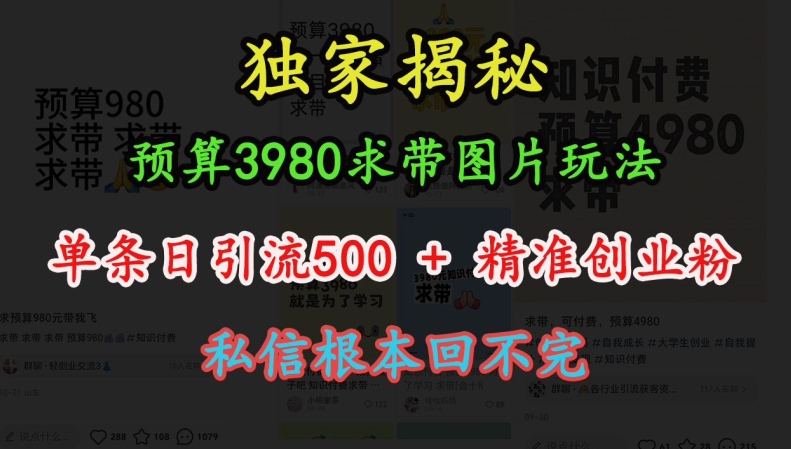 预算3980求带 图片玩法，单条日引流500+精准创业粉，私信根本回不完