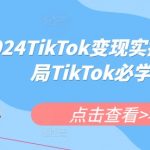 2024TikTok变现实操课程，入局TikTok必学内容