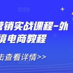 外贸全网营销实战课程-外贸跨境电商教程