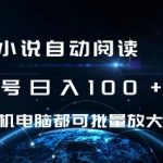 小说自动阅读 单号日入100+ 手机电脑都可 批量放大操作【揭秘】