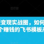 飞书模版变现实战圈，如何短期搭建一个赚钱的飞书模板产品