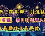 最新“跨年群”引流，流量非常猛，单日引流两人满人群，立马操作立马见效【揭秘】