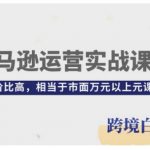 亚马逊运营实战课程，亚马逊从入门到精通，性价比高，相当于市面万元以上元课程