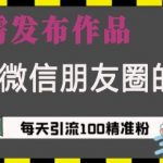 藏在微信朋友圈的流量密码，无需发布作品，单日引流100+精准创业粉【揭秘】