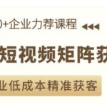 AI短视频矩阵获客实操课，企业低成本精准获客