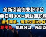 全新引流创业粉平台 单日引800+，创业兼职粉，操作简单，每天仅需8分钟【仅揭秘】