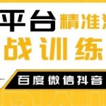 全平台精准流量实战训练营，百度微信抖音小红书SEO引流教程