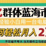 6亿群体蓝海市场，零经验小白用一台电脑，如何轻松月入过w【揭秘】