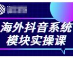 海外抖音Tiktok系统模块实操课，TK短视频带货，TK直播带货，TK小店端实操等