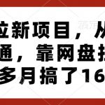 网盘拉新项目，从入门到精通，靠网盘拉新3个多月搞了16W