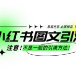 小红书图文引流创业粉，最稳引流方法，日引300+可批量操作