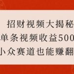 招财视频大揭秘：单条视频收益500+，小众赛道也能挣翻天!