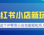 小红书小店新玩法，蹭这个IP带货，小白也能轻松月入过W【揭秘】