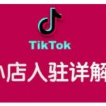 TikTok跨境小店运营全攻略，帮助你独立运营TK跨境小店的能力，实现销量增长