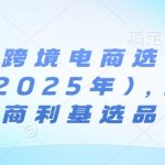 亚马逊跨境电商选品案例(更新2025年)，跨境电商利基选品