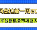 豆包网盘拉新，一周2k，新平台新机会