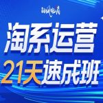 淘系运营21天速成班35期，年前最后一波和2025方向