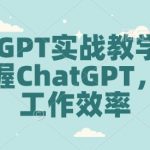 ChatGPT实战教学，快速掌握ChatGPT，提高工作效率