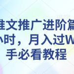 小说推文推广进阶篇，每天1小时，月入过W，新手必看教程