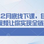 千川运营12月底线下课，自然流+付费+短视频让你实现全链路爆单