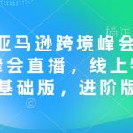 12月亚马逊跨境峰会， 亚马逊峰会直播，线上特训营基础版，进阶版