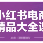 小红书电商精品大全课，快速掌握小红书运营技巧，实现精准引流与爆单目标，轻松玩转小红书电商