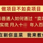 必看，做项目不如卖项目，2025普通人如何通过“卖项目”实现月入十个，年入百个