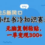 2025新风口，小红书冷知识赛道，无脑复制粘贴，一单变现300+