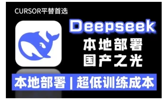 2025年deepseek R1 大型模型本地安装部署(文件+教程)本地部署，超低训练成本