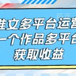 小说推文多平台运营全流程，一个作品多平台发布获取收益