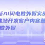 2025最新AI闪电做外贸实战课，外贸建站开发客户内容营销从0到3做外贸