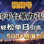 跨平台暴力引流，私域完美闭环，日引500+精准创业粉