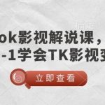 TikTok影视解说课，小白从0-1学会TK影视变现