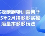 拼多多实操陪跑特训营弟子班，2025年2月拼多多实操课程，海量拼多多玩法