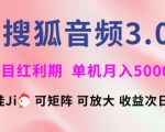 搜狐音频挂ji3.0.可矩阵可放大，独家技术，稳定月入5000+【揭秘】